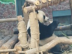 -黔灵山公园