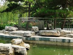 -黄村公园