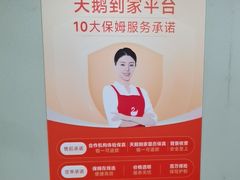 -天鹅到家·保姆月嫂育儿嫂(朝阳店)