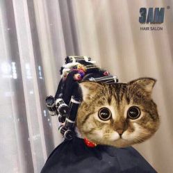 -3AM HAIR SALON烫发染发接发