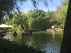 -瀛洲公园