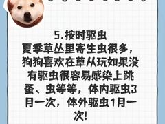 -爱侣·安琦尔宠物医院·中兽医针灸·心内科·狂犬免疫点(宝山区院)