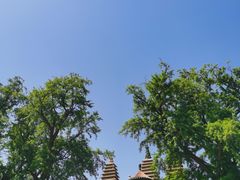 -北京石刻艺术博物馆(五塔寺)