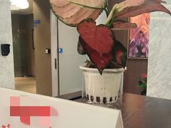-中国民生银行(上海分行营业部)