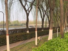 -西安汉城湖景区