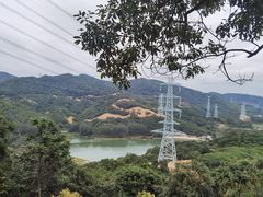 -黄埔油麻山森林公园