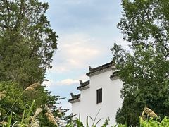 -黄牛肉馆·皖南土菜