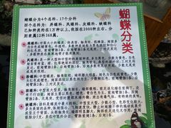 -上海大自然野生昆虫馆(东方明珠·爬宠昆虫探索中心)