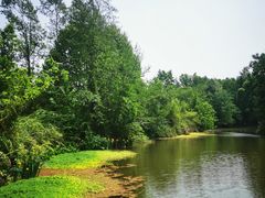 -桤木河湿地公园