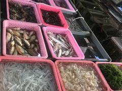 -大湾区中央湿地公园-十九涌