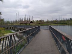 -白鹭湾湿地公园