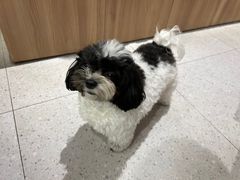 -FAELING PETS美天灵宠物(富力广场店)