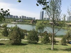 -西安浐灞国家湿地公园
