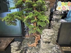 -湊湊火锅·茶憩(东城万达店)
