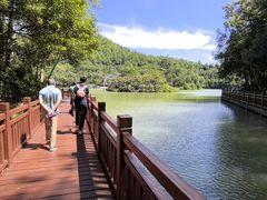 -广州白江湖森林公园