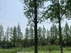 -前小桔亲子创意农场·草莓采摘·露营烧烤