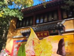 -灵谷景区