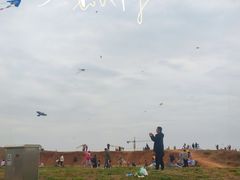 -白鹭湾湿地公园