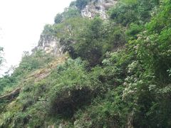 -华蓥山天意谷景区