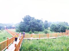 -白草畔自然风景区