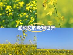 -光明小镇欢乐田园