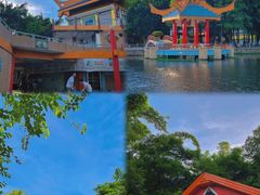 -金砂公园