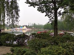 -秀丽东方
