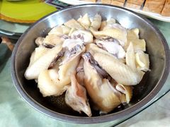 抹盐隔水蒸善鸡-区海鸡场饭店(石壁店)