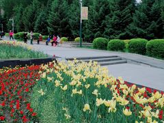 -长春公园(普阳街道)