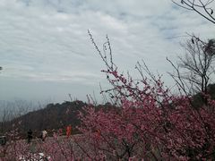 -杭州半山国家森林公园