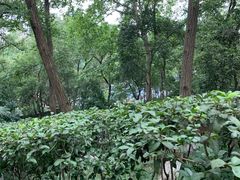 -北极阁公园