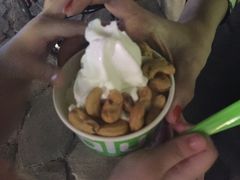 -Salud撒露欧洲冻酸奶(蓝色港湾店)