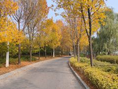 -一擀一面皮(棉纺东路店)