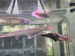 -宁波儿童公园(鄞州区)