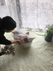 -星宝贝儿童摄影