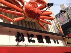-蟹道乐(道顿堀本店)