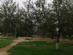 羊肉串-苏氏牛肉面(丰北桥店)