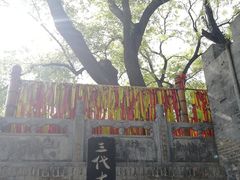 -大槐树寻根祭祖园