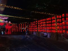-三亚红色娘子军演艺公园景区
