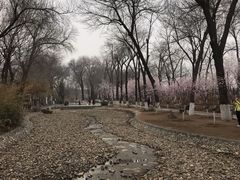 -桃花堤公园