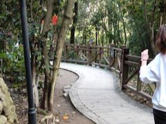 -洪崖丹井