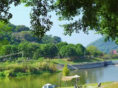 -风云岭森林公园