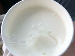 原味酸奶-蒙醇鲜酿酸奶