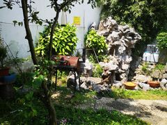 -美味之家·湖景农家乐(太湖东山店)