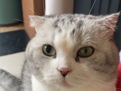 -芭比堂动物医院·犬猫全科·异宠专科(雁塔分院)