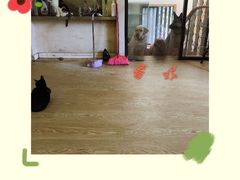 -萌喵咖啡屋(人民东路4号口M16商铺店)