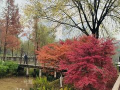 -沐仙湖湿地公园