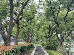 -月湖风景区
