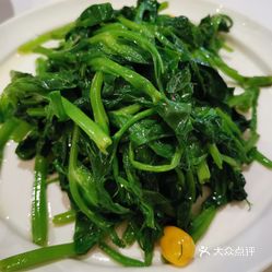 什么菜用白胡椒 Xu0skmfhK1WqTjapRloGrL7YgZLC38bYNiUrGcYSRyIW2o0Pn5aTguX_PQEudt5ruzFvxlbkWx5uwqY2qcjixFEuLYk00OmSS1IdNpm8K8sG4JN9RIm2mTKcbLtc2o2vfCF2ubeXzk49OsGrXt_KYDCngOyCwZK-s3fqawWswzk.jpg