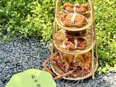 -欢乐蟹庄·精品农家乐(阳澄湖莲花岛店)